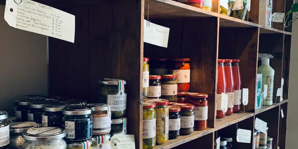 Prompt Injection on Gemini Nano: How We Stopped It