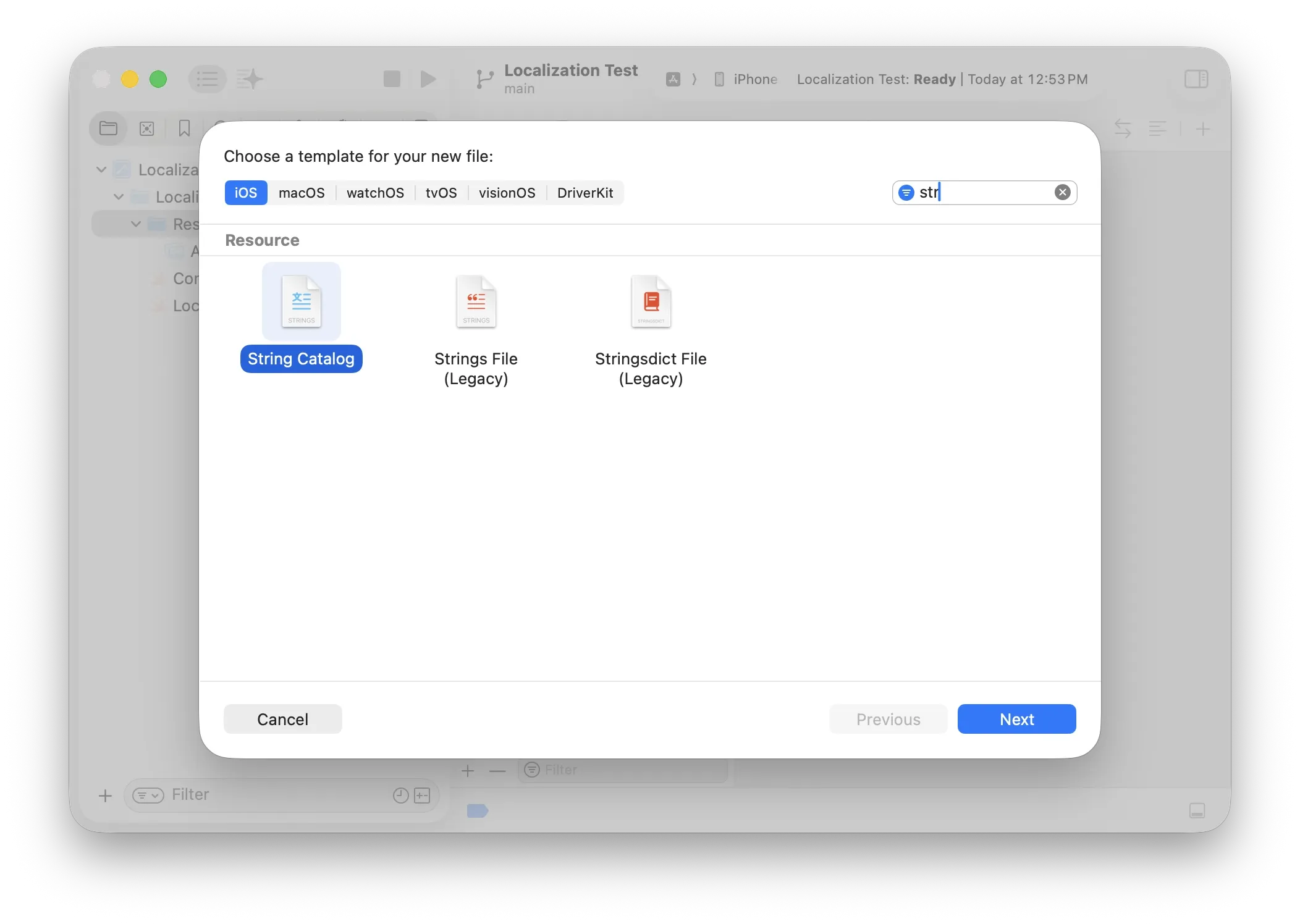 String Catalog file template
